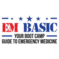 EM Basic logo