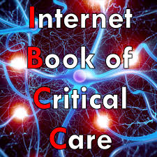 The Internet Book of Critical Care Podcast logo